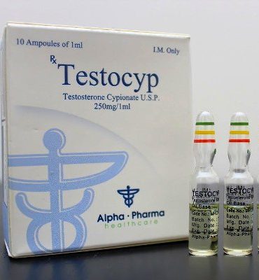 Testosterone Cypionate 10 ampoules (250mg/ml) online by Alpha Pharma, Watson analogue