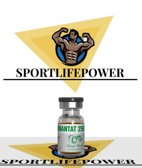 testosterone enanthate 10 ampoules (250mg/ml) online by Dragon Pharma