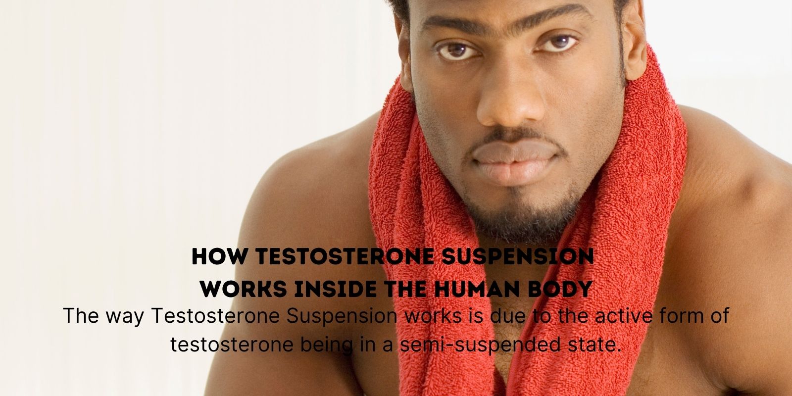 How Testosterone Suspension works inside the human body