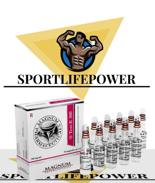 testosterone enanthate 10 ampoules (300mg/ml) online by Magnum Pharmaceuticals