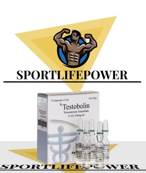 testosterone enanthate 10 ampoules (250mg/ml) online by Alpha Pharma