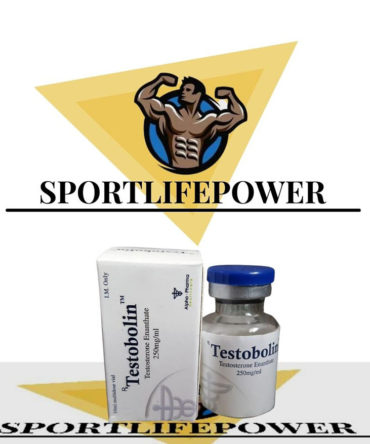 testosterone enanthate 10ml vial (250mg/ml) online by Alpha Pharma