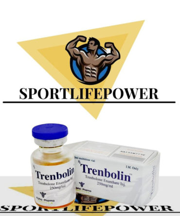 trenbolone enanthate 10ml vial (250mg/ml) online by Alpha Pharma